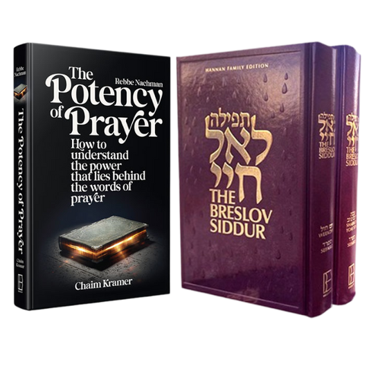 The Breslov Prayer Primer